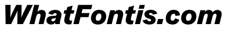 Essent BlackItalic Instance