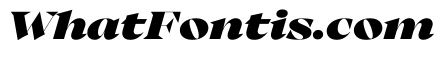 Eliptico03 BlackItalic