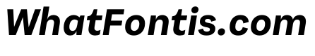 SubtilGrotesk BoldItalic
