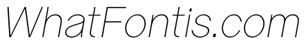 LadnaFaux ThinItalic