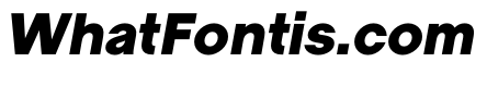 LadnaFaux BlackItalic