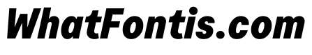 Moderat BlackItalic 869d0a5c