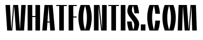 Patyk Bold