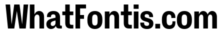 ExtractGrotesk Bold