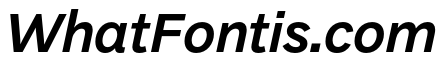 DiGrotesk MediumItalic