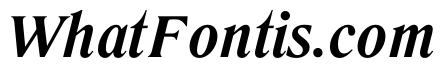 LiteraturaPresent BoldItalic