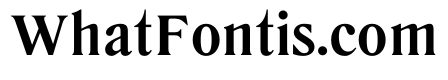 LiteraturaPresent Bold
