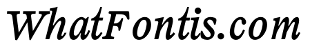 LiteraturaFuture BoldItalic