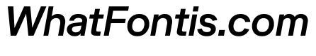 SBArticulate BookItalic
