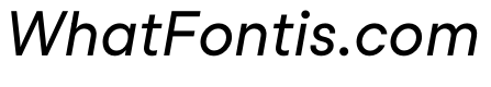 StudioFeixenSans RegularItalic Instance