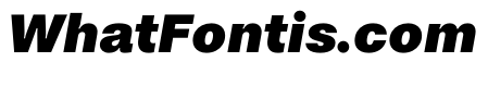 Noigrotesk BlackItalic Instance