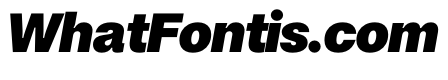 Noigrotesk BlackItalic Instance E4ba5ad9
