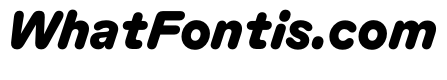 KarlST BlackItalic