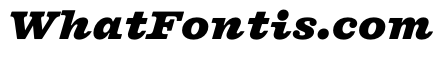 DiplomatST BlackItalic