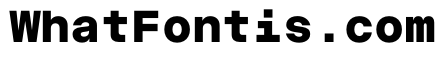 ChromaMonoST Bold