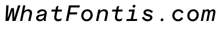 ProtestGroteskMono RegularItalic Instance