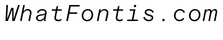 ProtestGroteskMono LightItalic Instance