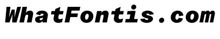 ProtestGroteskMono HeavyItalic Instance