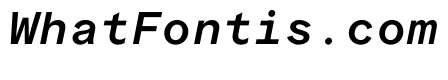 ProtestGroteskMono BookItalic Instance