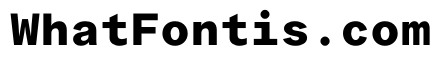 ProtestGroteskMono Bold Instance