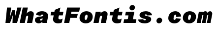 ProtestGroteskMono BlackItalic Instance