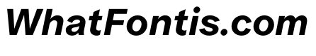 ProtestGrotesk MediumItalic Instance