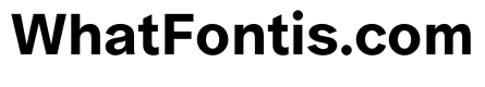 ProtestGrotesk Medium Instance