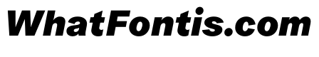 ProtestGrotesk HeavyItalic Instance