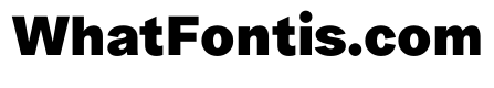 ProtestGrotesk Heavy Instance