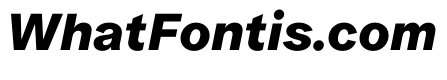 ProtestGrotesk BoldItalic Instance