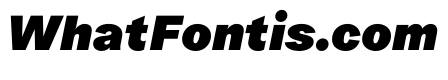 ProtestGrotesk BlackItalic Instance