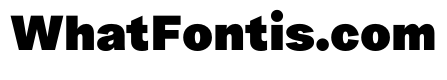 ProtestGrotesk Black Instance