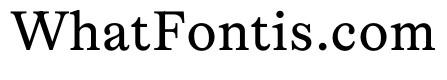 Lingo Regular Instance