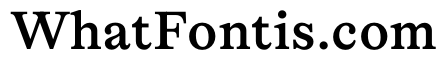 Lingo Medium Instance
