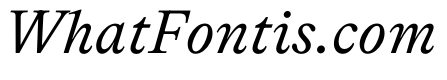 Lingo LightItalic Instance