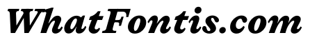 Lingo BlackItalic Instance