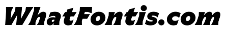 Meso BlackItalic Instance B70169b4