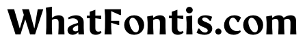 AvecText Bold Instance