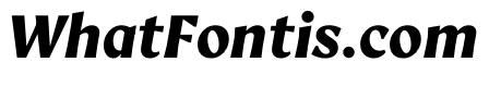 AvecText BlackItalic Instance