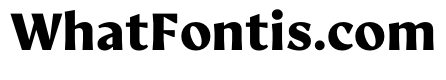 AvecText Black Instance
