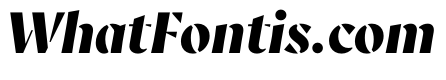 AvecStencil BlackItalic Instance