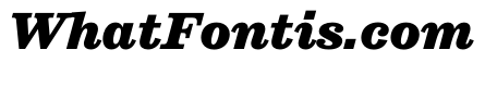 STKEarl BlackItalic