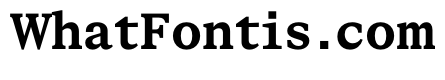 STKBureauSerifSemiMono Bold