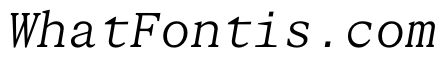 STKBureauSerifMono LightItalic