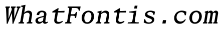 STKBureauSerifMono Italic