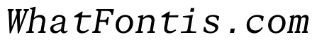 STKBureauSerifMono BookItalic