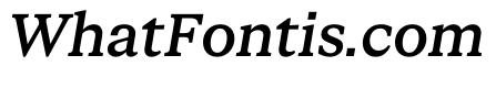 STKBureauSerifCollection MediumItalic Instance