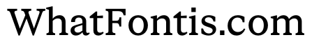 STKBureauSerif Regular