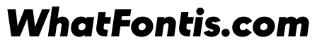 STKAstro BlackItalic