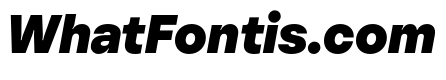 PizGrotesk BlackOblique